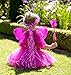 5 Piece Shimmering Fairy Princess Costume Set (Hot Pink)