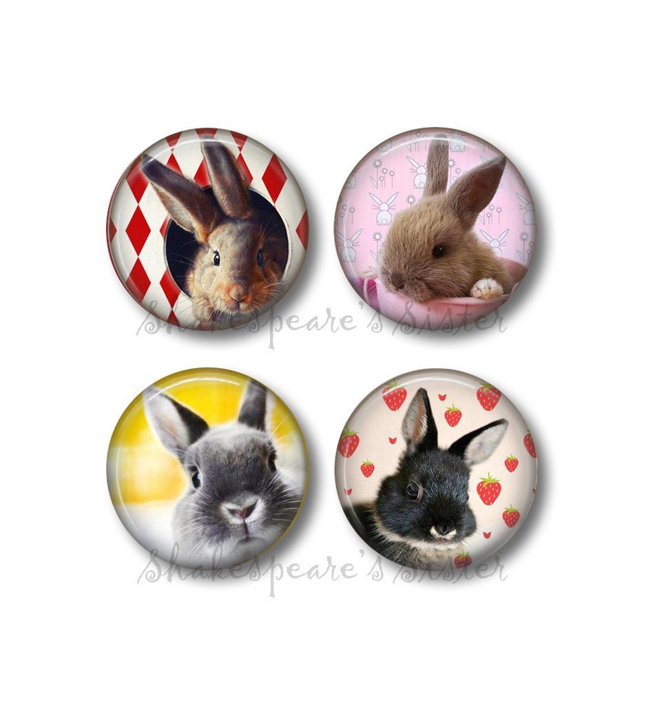 The 10 Best Bunny Magnets For Refrigerator