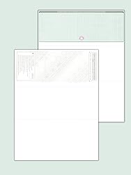 100 Blank High Security Computer Check