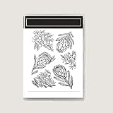 2025-2026 Stamps and Dies for Card Making, Stamps