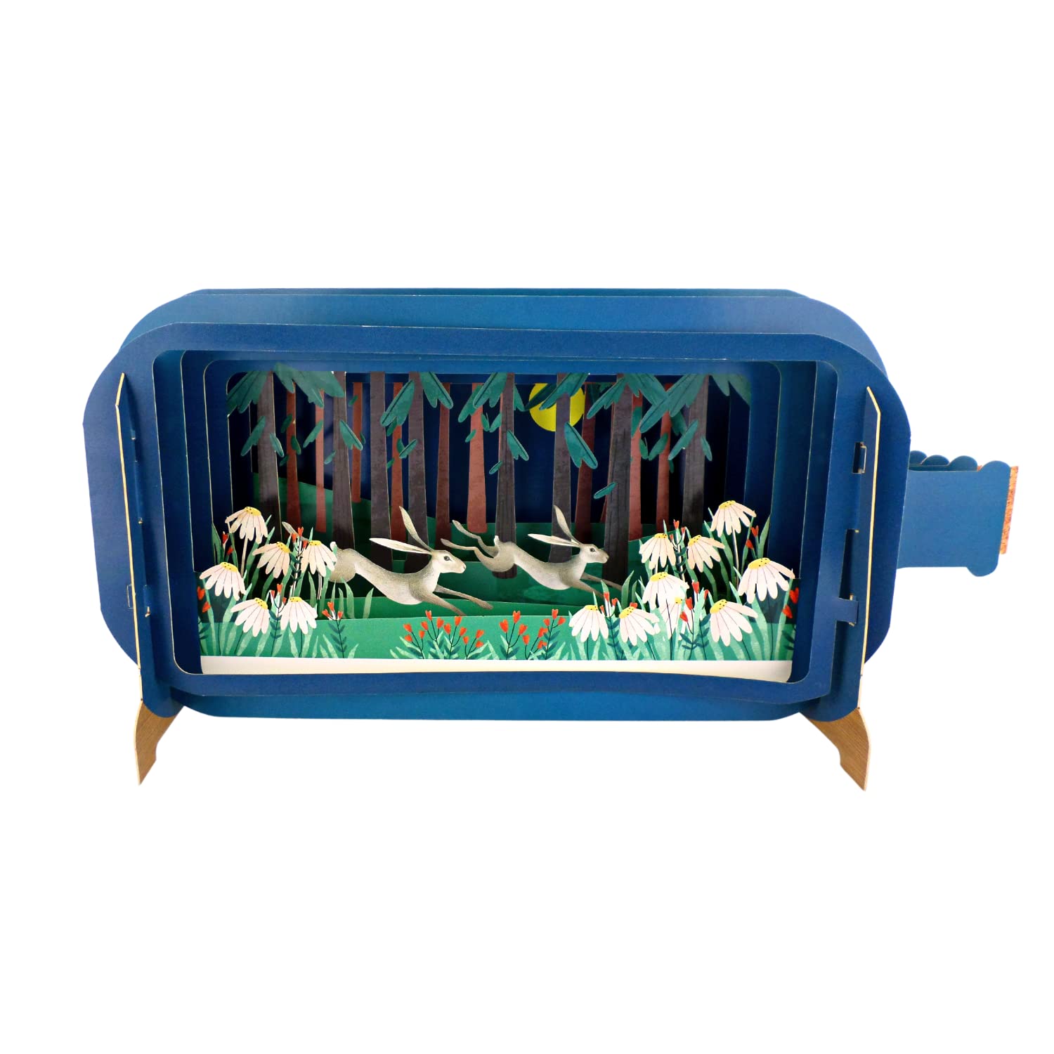 Message in A Bottle Hares Pop Up Any Occasion Greeting Card by Alljoy Cards MIB167