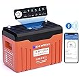 ECO-WORTHY 12V 100AH LiFePO4 Lithium Battery with SOC Display, Upgrade 2.0 with built-in Bluetooth, 100A BMS with Low-Temp Protection, Suitable for RV, Camping, Solar Off-Grid trolling motor