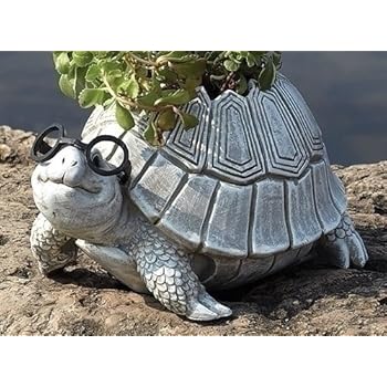 Roman Woodland Critters with Eye Glasses Novelty Planters (Turtle),One Size
