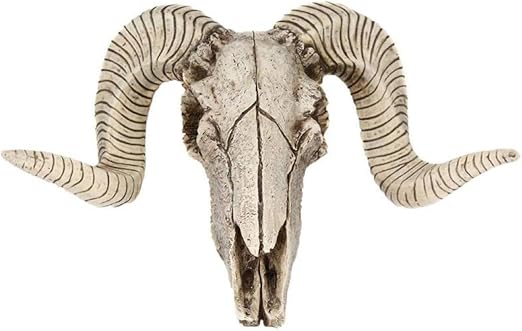 Amazon Com Ukuro 3d Horns Skull Statue Resin Animal Skull Ornament Retro Wall Hanging Crafts Creative Home Office Decor Gift Home Kitchen
