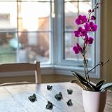 jeufun 30 Pcs Plant Clips Plastic Garden Vine Supports 1.8x1.5 cm view 3