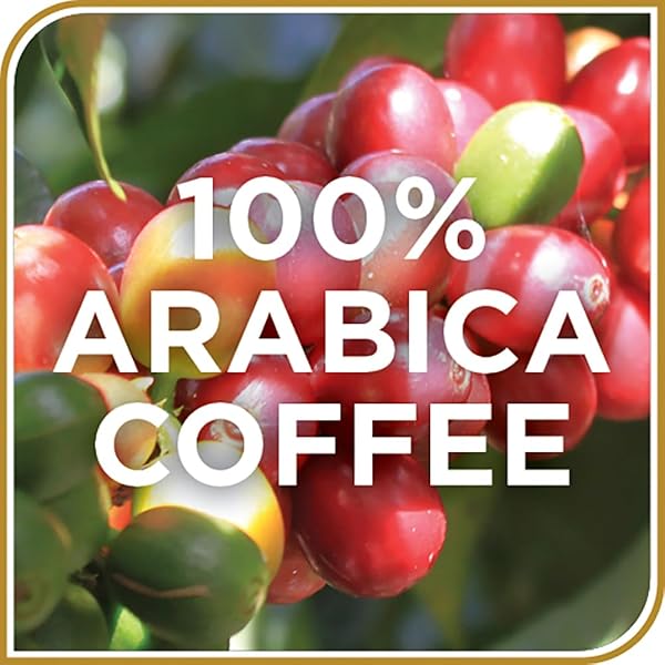 DON FRANCISCO’S KONA BLEND COFFEE – 24 K-CUP COMPATIBLE SINGLE-SERVE PODS – 10% KONA – RECYCLABLE THROUGH TERRACYCLE – COMPATIBLE WITH KEURIG BREWERS