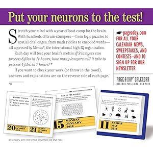 Mensa 365 Brain Puzzlers Page-A-Day Calendar 2018