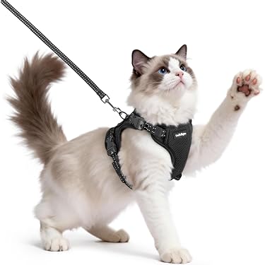Amazon Best Sellers: Best Cat Harnesses