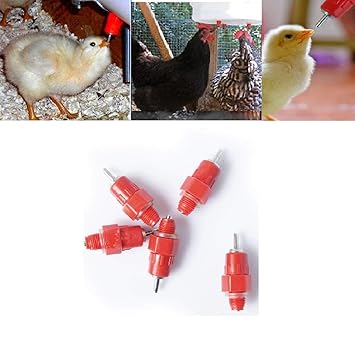 Xiton 5 Pcs Eau Tétine Abreuvoir Poulet Mangeoire Volaille Fournitures Poule Vis Dans Le Style