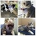 Cat Harness and Leash Set Kitten Harness with Leash for Walking Adjustable Soft Vest Harness for Cats Puppy Safety Walk/Run Medium