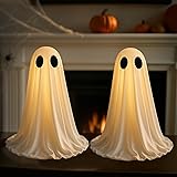 2Packs Halloween Decorations Indoor Ghost Kit