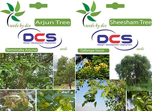 DCS Arjun Tree and Sheesham Tree Seeds (White)