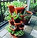 5 Tier Stackable Strawberry, Herb, Flower, and Vegetable Planter – Vertical Garden Indoor/Outdoorthumb 2