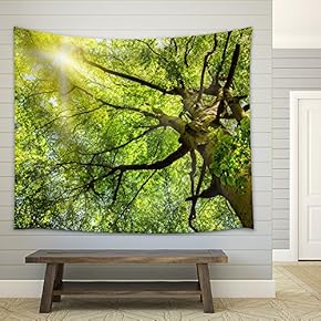 The Warm Spring Sun Shining Through The Treetop of an Impressive Old Beech Tree - Fabric Wall Tapestry Home Decor - 51x60 inches