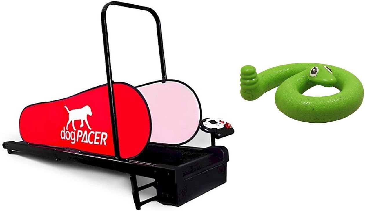 DogPacer Mini Treadmill with Green Springy Snake Toy