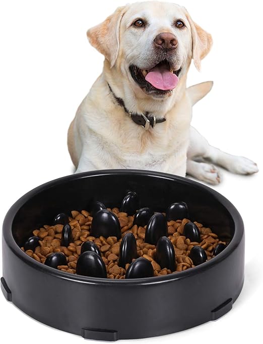 amazon dog slow feeder