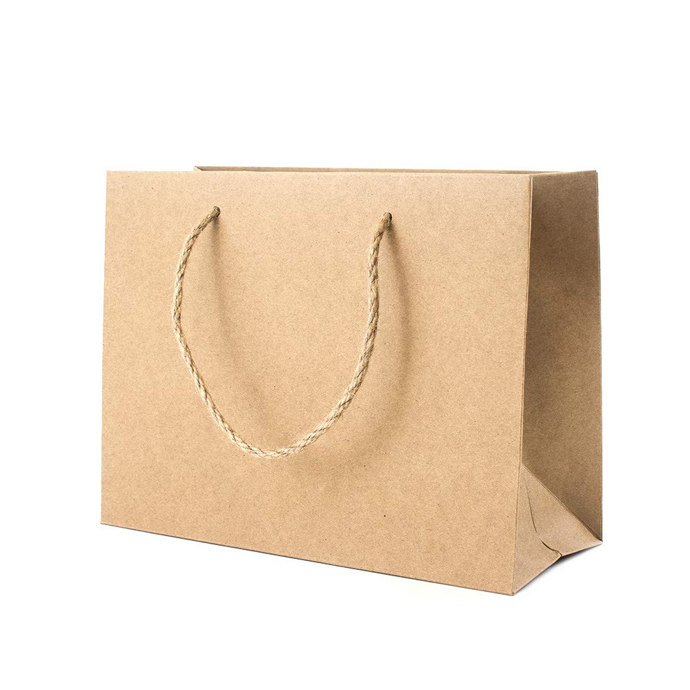 10 Landscape Eco Kraft Paper Gift Bags 250x190x110mm (Kraft)