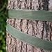 WXJ13 50 Feet 1 Inch Wide Green Tree Tie Garden Tie Plant Supports for Staking and Guying, 1500 Lbs Strength