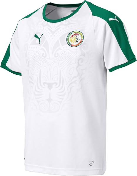 puma soccer clothing