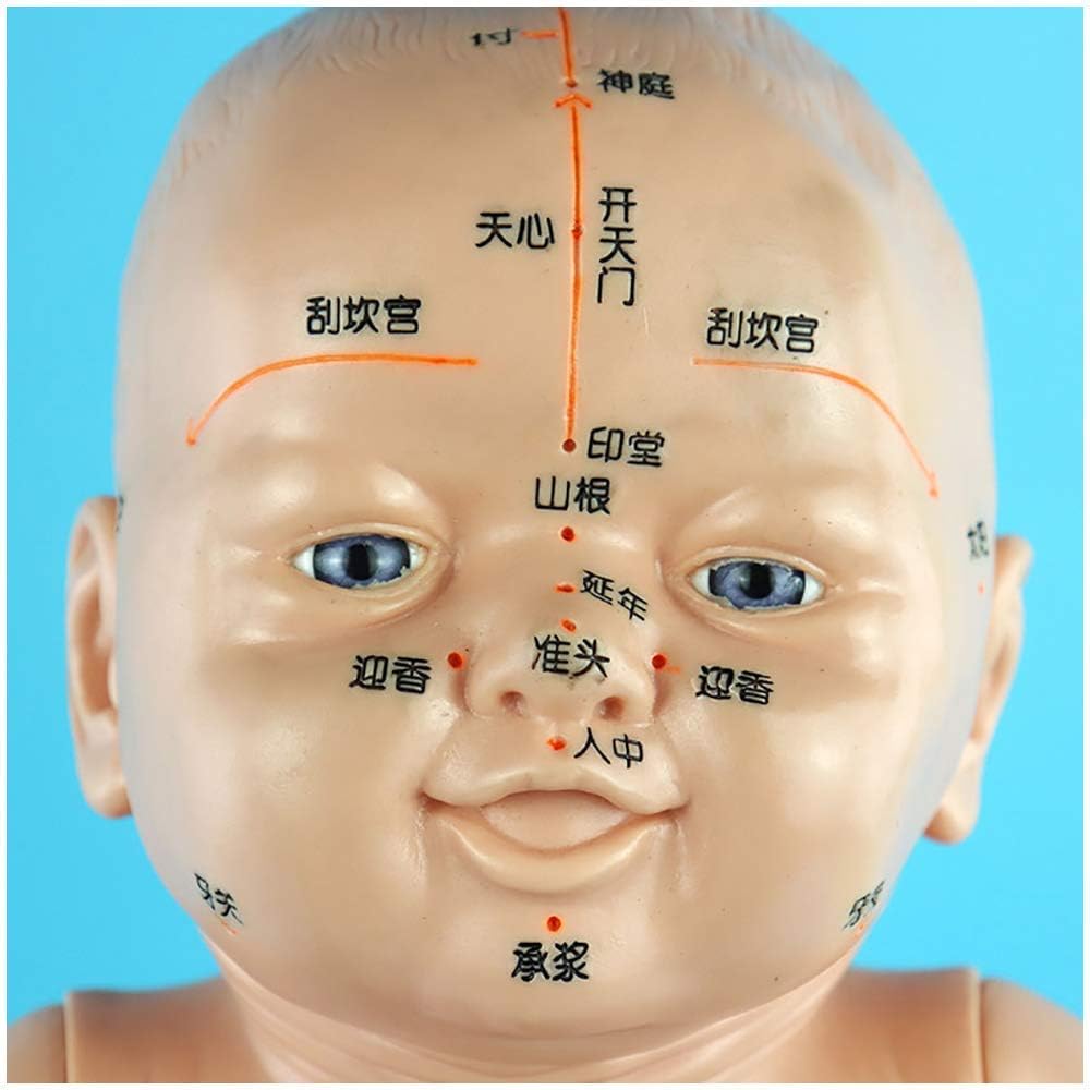 Amazon.com : Pediatric Massage Doll 