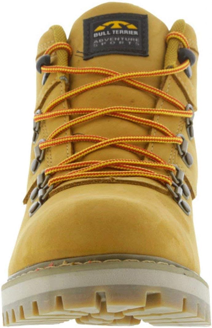 bota bull terrier nepal