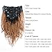 ABH AMAZINGBEAUTY HAIR Kinkys Curly Clip in Hair Extensions 3C and 4A Double Wefts Real Remy Human Hair Curly Clip ins for African Americans 120 Grams, 1BT27 Ombre Blonde Color 16 Inch