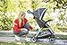 Graco Fastaction Fold Click Connect Travel System, Affinia (Discontinued by Manufacturer)