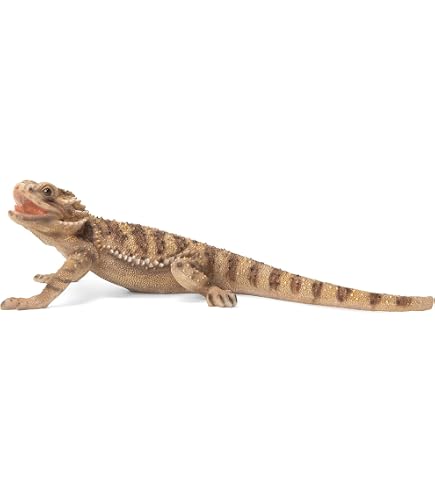 BFG Supply Michael Carr Designs Iguana S Reptile Collection
