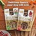 Rachael Ray Nutrish Soup Bones Minis Dog Treats, Real Beef & Barley Flavor, 6 Bones, 4.2 Ounces