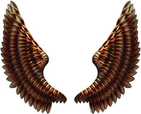 Amazon ハウスワールドグランドツアーエンジェルウィング ヴィンテージスタイルの壁掛けウィンググランドエンジェルウィング壁の装飾リビングルーム用の手作りの壁の装飾 ブラウン インテリア オンライン通販