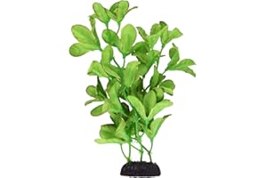 Underwater Treasures Silk Bacopa Monnieri - 8"