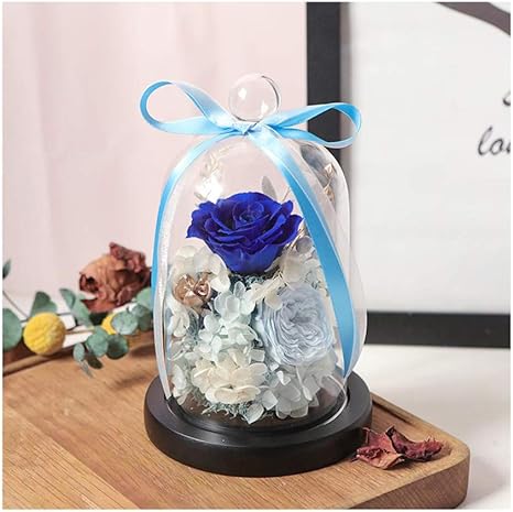Amazon 手作りのプリザーブドフラワー永遠に青いバラ自然乾燥した花彼女への最高の贈り物 記念日のバレンタインの誕生日の結婚式 女の子の妻の母の恋人 プリザーブドフラワー オンライン通販
