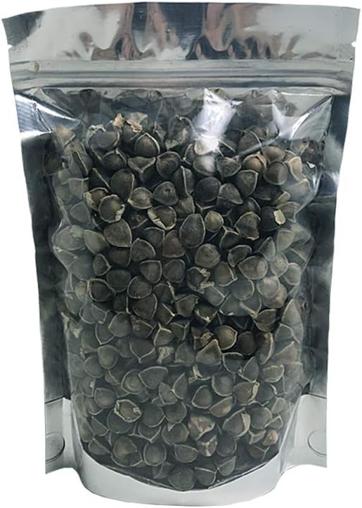 1000 Moringa Oleifera Seeds Drumstick Tree Pure Organic 100% by Chisa Herb