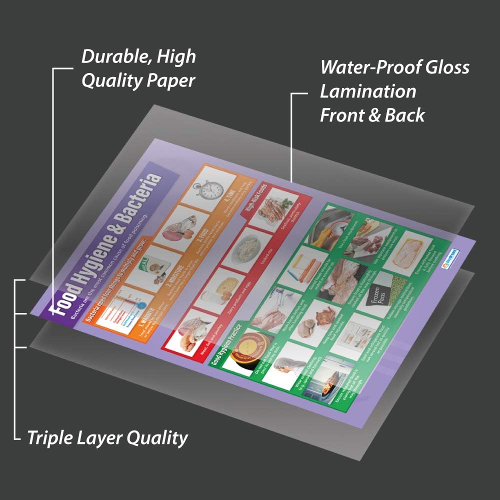 Daydream Education Food Hygiene & Bacteria, Laminated, 85L x 59.4W cm - Image 4