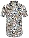 SSLR Mens Summer Shirts Short Sleeve Aloha Shirt Hawaiian Shirts for Men (X-Large, Blue Red (168-4))