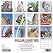 Roller Coasters 2017 Wall Calendar