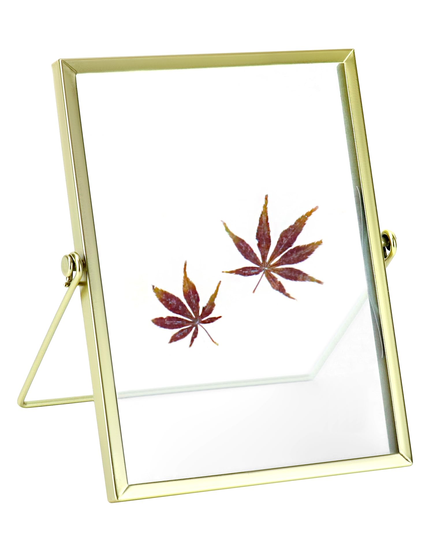 QWORK® Gold Floating Picture Frame 6x8 Inch, Tabletop Glass Frame for Photos, Pressed Flower & Leaf Artwork, Botanical Display