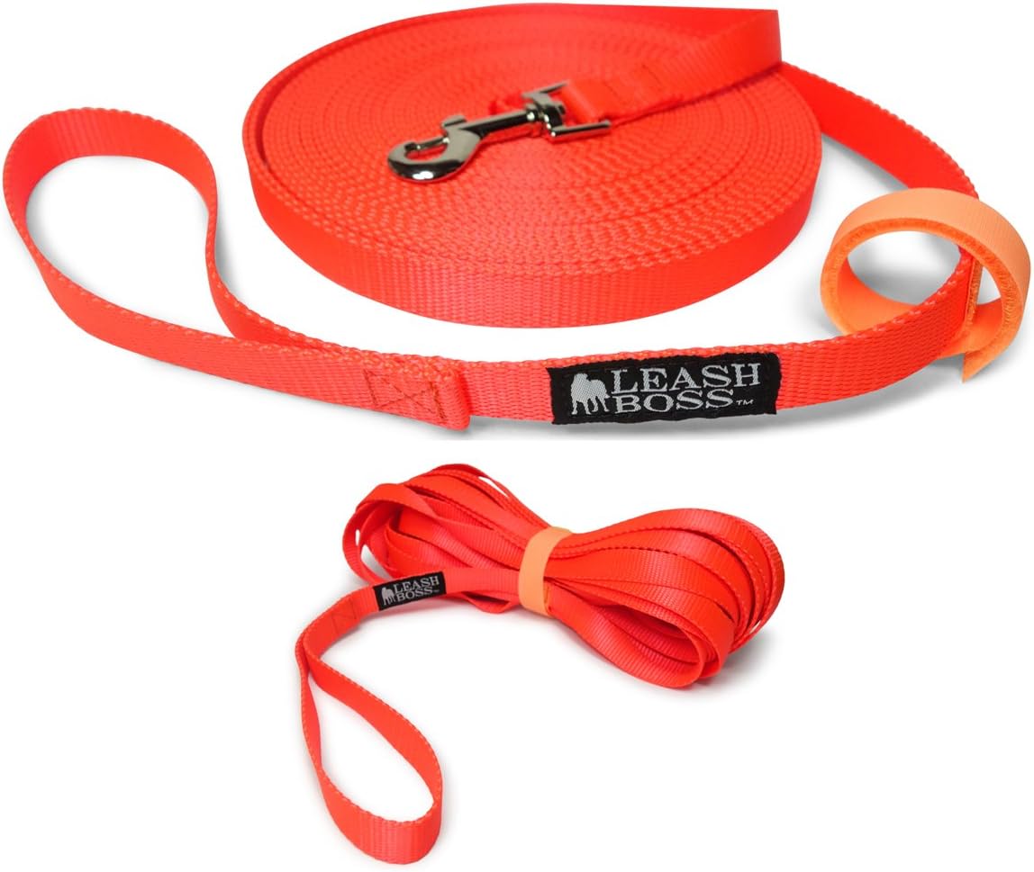 Leashboss Long Trainer - 1 Inch Nylon Long Dog Training Leash with Storage Strap