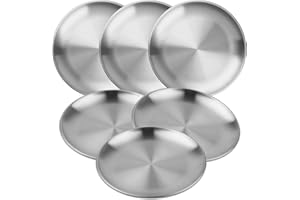 MOUYAT 6 PCS 10 Inch Stainless Steel Plate, 26cm Round Dinner Metal Plates, Metal Salad Steak Plates Reusable Dinner Dish for