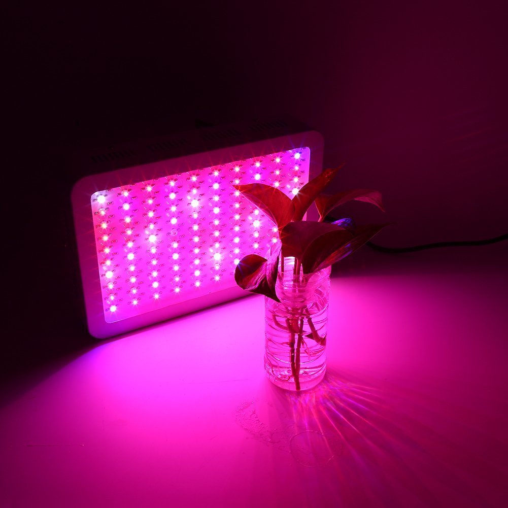 lampe a uv plante