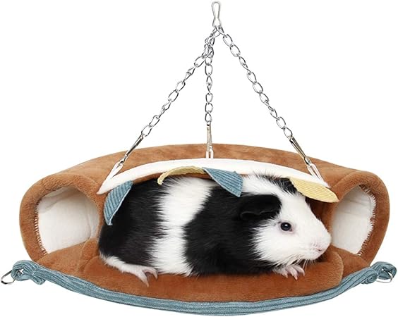hamster accessories amazon