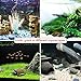 SunGrow Coco Hut for Pets, 5x3 Inches, Smooth-edged Coconut Shell, Compact, Spacious, Perfect Hideout for Your Fish, 1 Piece