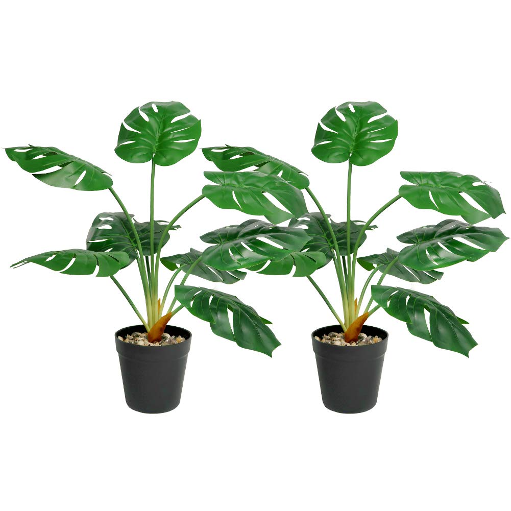 Buy Auelife Artificial Monstera Plants, 2PCS 25IN Fake Turtle Leaf Plant, 9 Leaves Faux Tropical