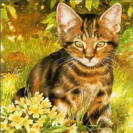 Amazon 5d Diyラウンドダイヤモンド絵画描画工芸動物かわいい子猫猫草フルドリル装飾キット40 50センチに座って 刺しゅうキット 通販