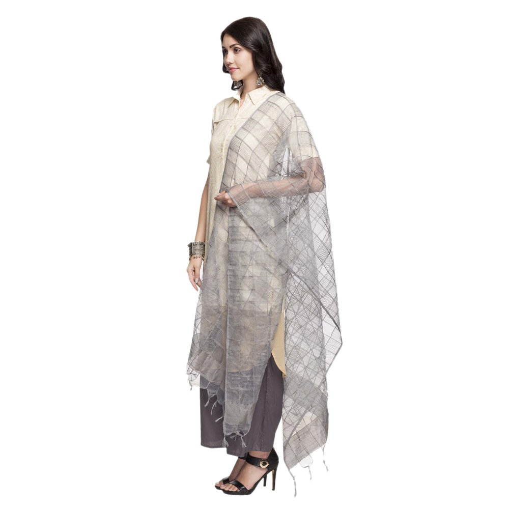 aurelia rayon dupatta