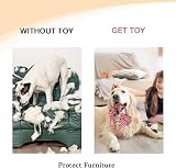 Vivifying Dog Rope Toys Pack of 2 Braided Cotton Interactive Chew Balls view 6