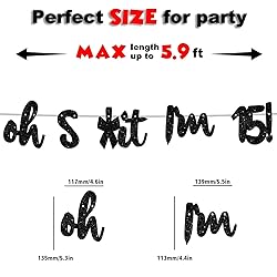 Oh I’m 15! Banner Backdrop Glitter Black Hallo