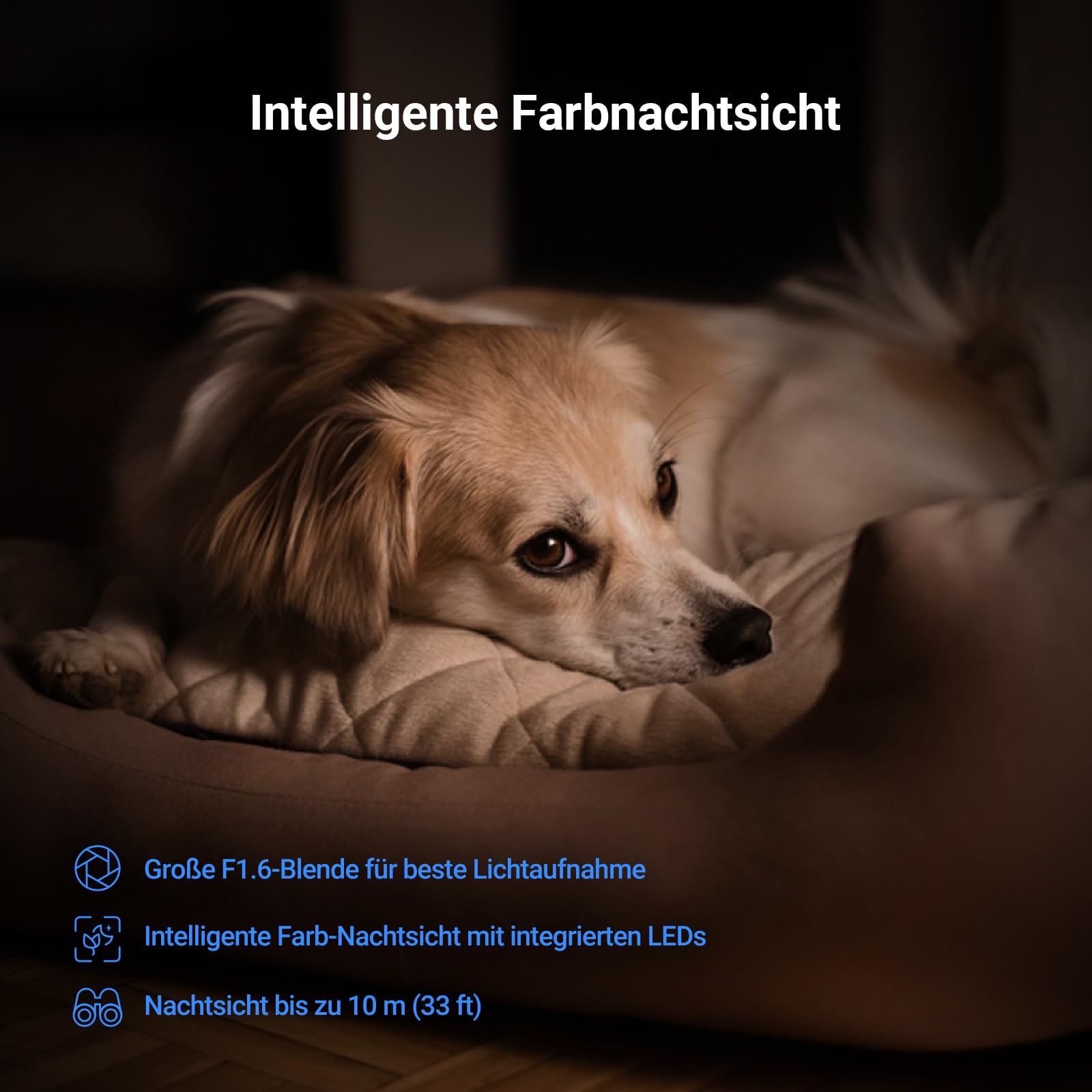 EZVIZ C6N G1 4K 8MP Überwachungskamera Innen, WLAN Baby Monitor 2er Pack 7