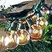 Escolite G40 String Lights Indoor Outdoor for Wedding Lights, Bedroom Lighting, Patio Lights Green