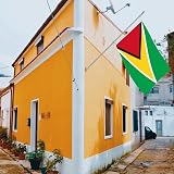 BigTree Guyana Flag 3x5ft 90x150cm Polyester Large Grommets Indoor Outdoor view 6